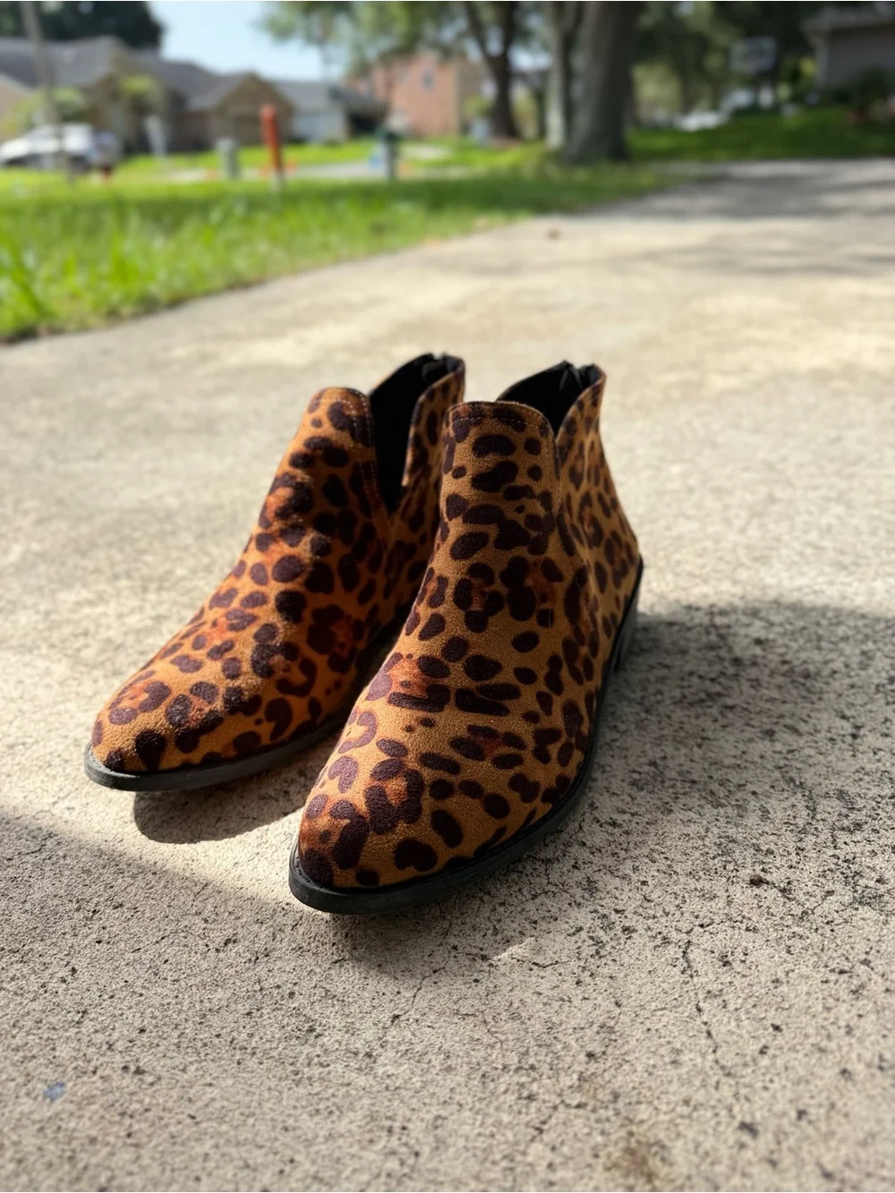 JustFab Men's Leopard Print Chukka Boots - Brown & Black